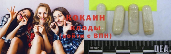 бошки Беломорск