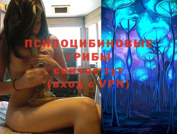 mdpv Белокуриха