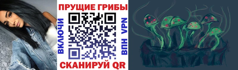 mega ссылки  Малоярославец  Галлюциногенные грибы прущие грибы 